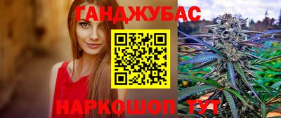 сатива Кингисепп