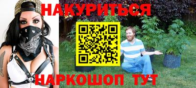 сатива Кингисепп