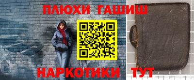 сатива Кингисепп