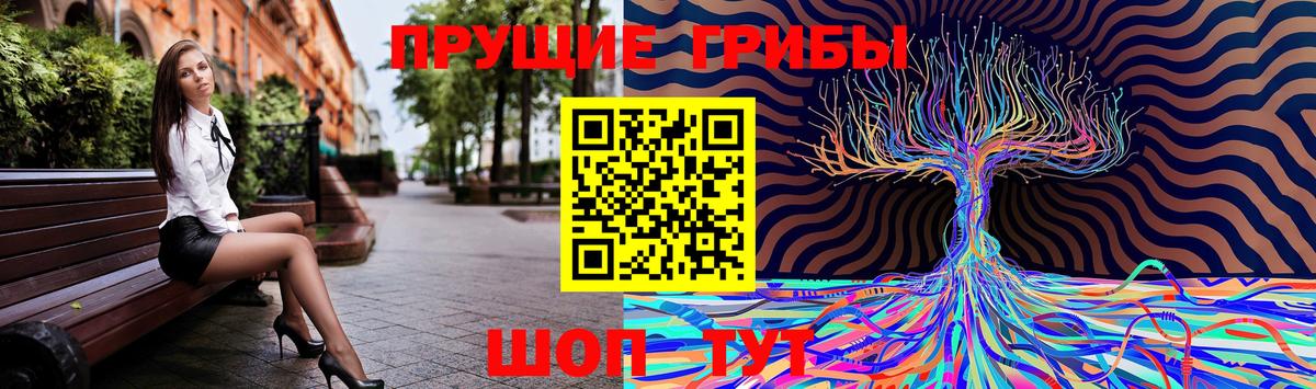 Киселёвск  Псилоцибиновые грибы прущие грибы  продажа наркотиков  Вход с VPN  Псилоцибиновые грибы Psilocybine cubensis 